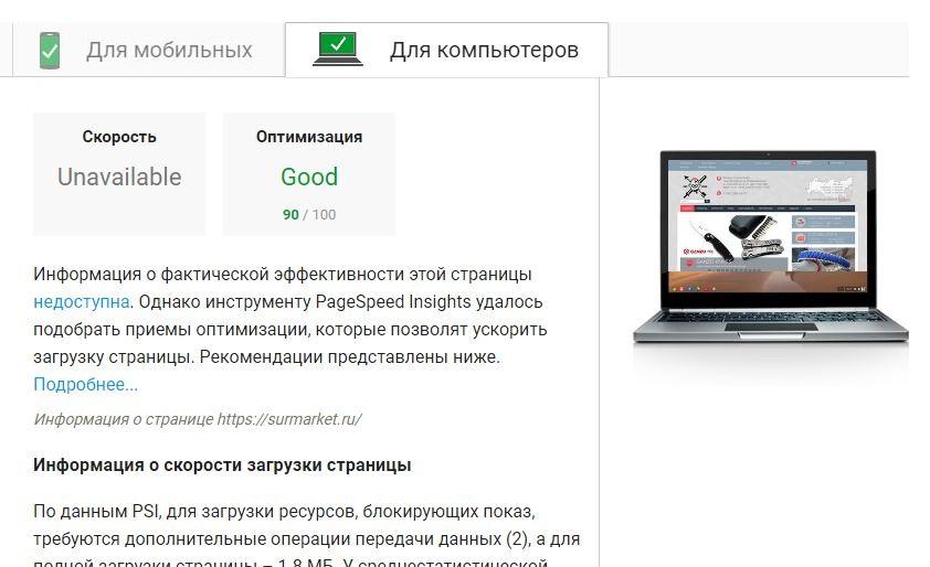 Google Page Speed оценивает сайт, построенный на cms интернет-магазина CS-Cart