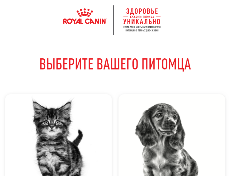 Royal Canin, E-recruitment 