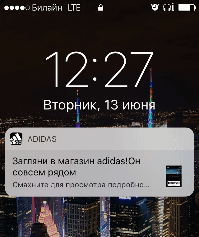 Загляни в корзину