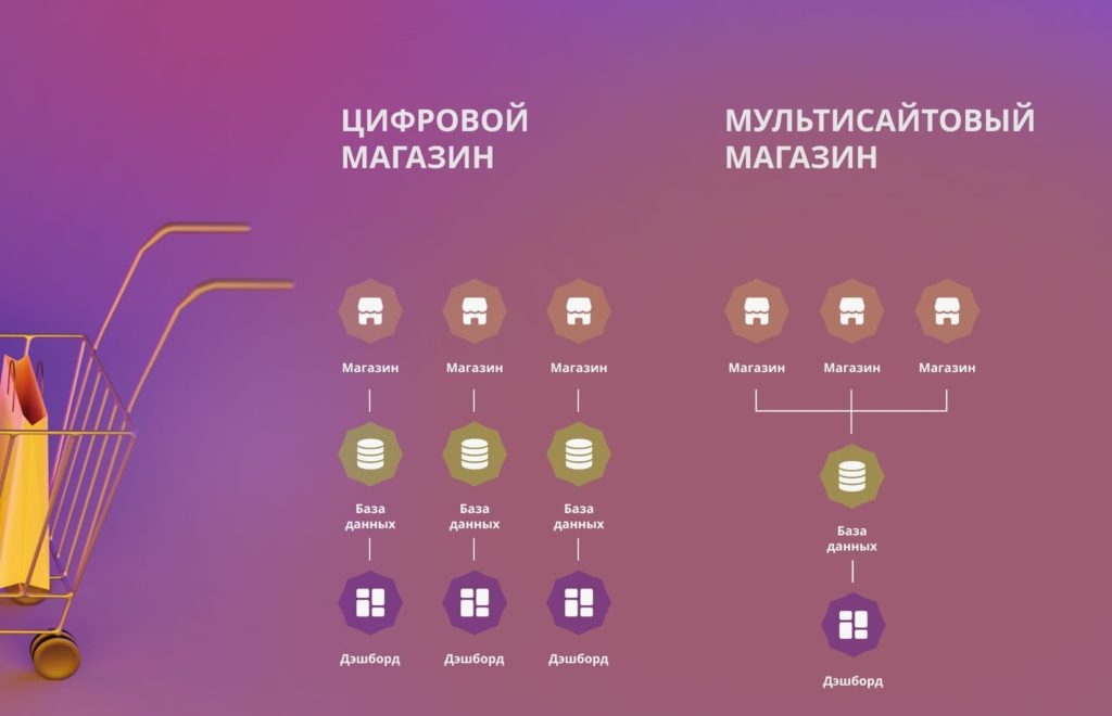 Мультисайтовость, отличия