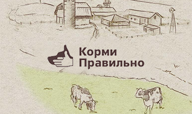 Интернет-магазин корма для собак на движке CS-Cart
